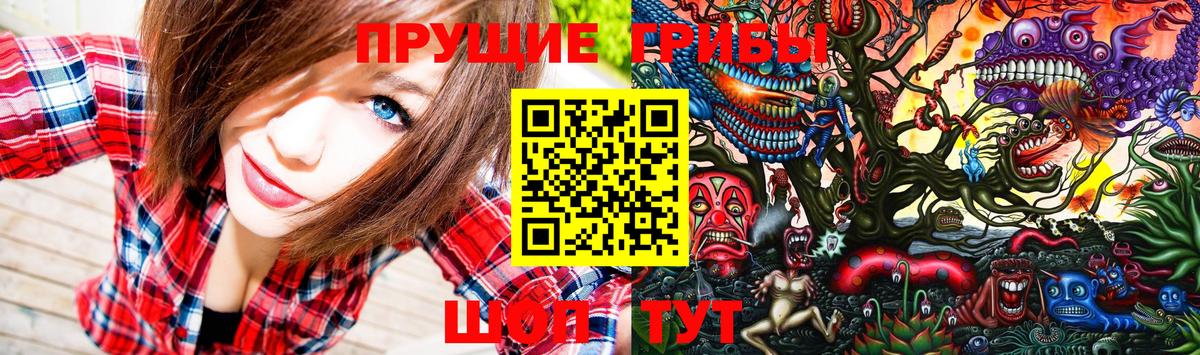 Галлюциногенные грибы MAGIC MUSHROOMS  цена   Троицк  Вход с VPN 