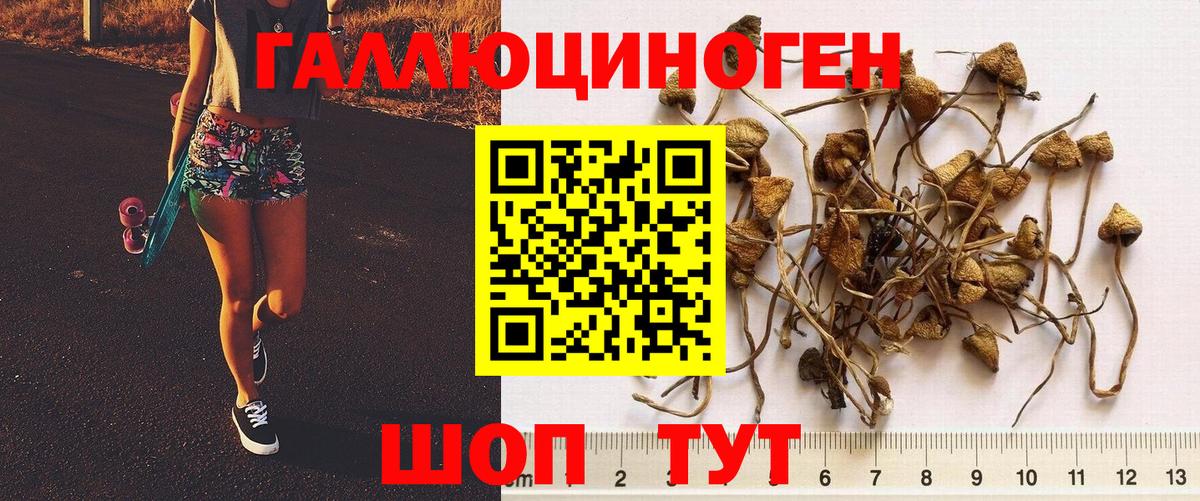 Псилоцибиновые грибы мухоморы Троицк